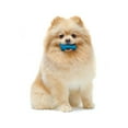 thumbnail image 3 of Nylabone Flexi Chew Bone Dog Chew Toy Peanut Butter & Bacon Orange & Blue XX-Small (2 Count), 3 of 11