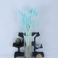thumbnail image 3 of Ramos de flores secas naturales, plantas de cola de conejo, arreglos florales con tallos bohemios azul, 3 of 8