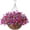 Plum Purple, variant on Artificial Hanging Flowers in Basket for Patio Garden Porch Deck Spring Decoration, Artificial Daisy Arrangement,Fake Plants in inch Coconut Lining Basket for Outdoor/Indoor(Purple)