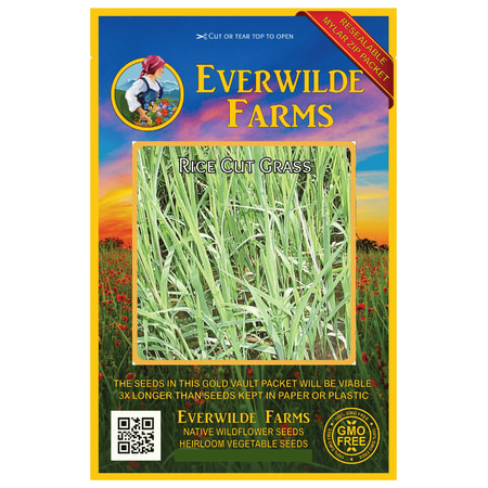 Everwilde Farms - 1000 Rice Cut Grass Native Grass Seeds - Gold Vault Jumbo Bulk Seed (Best Way To Cut Overgrown Grass)