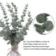 thumbnail image 2 of Artificial eucalyptus decorative branches, centerpieces, flower arrangements, country house home decor 2025, 2 of 5