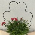 thumbnail image 4 of 2PCS Garden Metal Trellis for Climbing Outdoor Plants Small Garden Trellis Rust Proof Vine Support Wire Decorative Potted Plant Climbing Holder Rack, 4 of 8