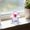 Pink, variant on Elegant Angel Collectible Figurine Exquisite Art Statue