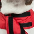 thumbnail image 4 of Touchdog ® Lightening-Shield 2-in-1 Dual-Removable-Layered Waterproof Dog Jacket, 4 of 9