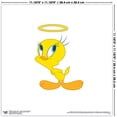 thumbnail image 4 of Gallery Pops Looney Tunes - Sylvester Tweety Wall Art Bundle (3-Pack), 4 of 5