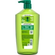 Garnier Fructis Sleek & Shine Argan Oil Anti Frizz Shampoo 1L
