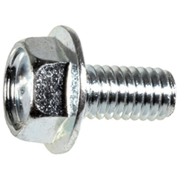 Auveco AVCAP17315 Pak M6-1.0 x 12 mm License Plate Screw