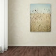 thumbnail image 3 of Trademark Fine Art 'Falling Queen Anne's Lace II Crop' Canvas Art by Elizabeth Urquhart, 3 of 3