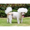 thumbnail image 1 of Bragas Sanitarias Ajustables Perfecl Reutilizable Del Perro Beige Talla S M, 1 of 8