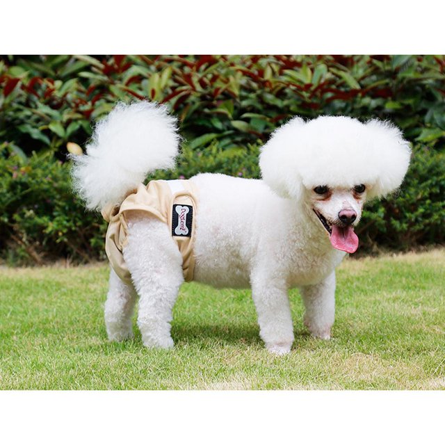 Bragas Sanitarias Ajustables Perfecl Reutilizable Del Perro Beige Talla S M