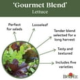 thumbnail image 5 of Burpee Gourmet Blend Lettuce Vegetable Seed, 1-Pack, 5 of 6