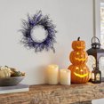 thumbnail image 6 of Halloween Wreath with LED Lights - 18 Inch Black Spider Web Wreath - Battery Operated Purple Glow for Outdoor/Indoor Halloween Decorations, 6 of 7