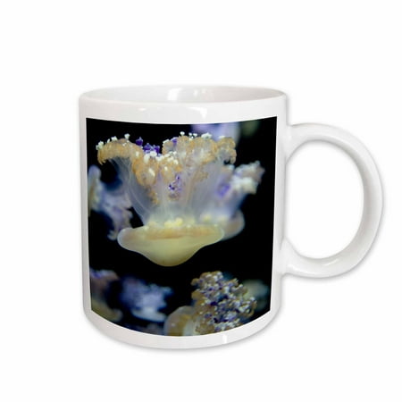 

3dRose Jelly Fish Monterey Bay Aquarium California - US05 JGS0138 - Jim Goldstein Ceramic Mug 15-ounce