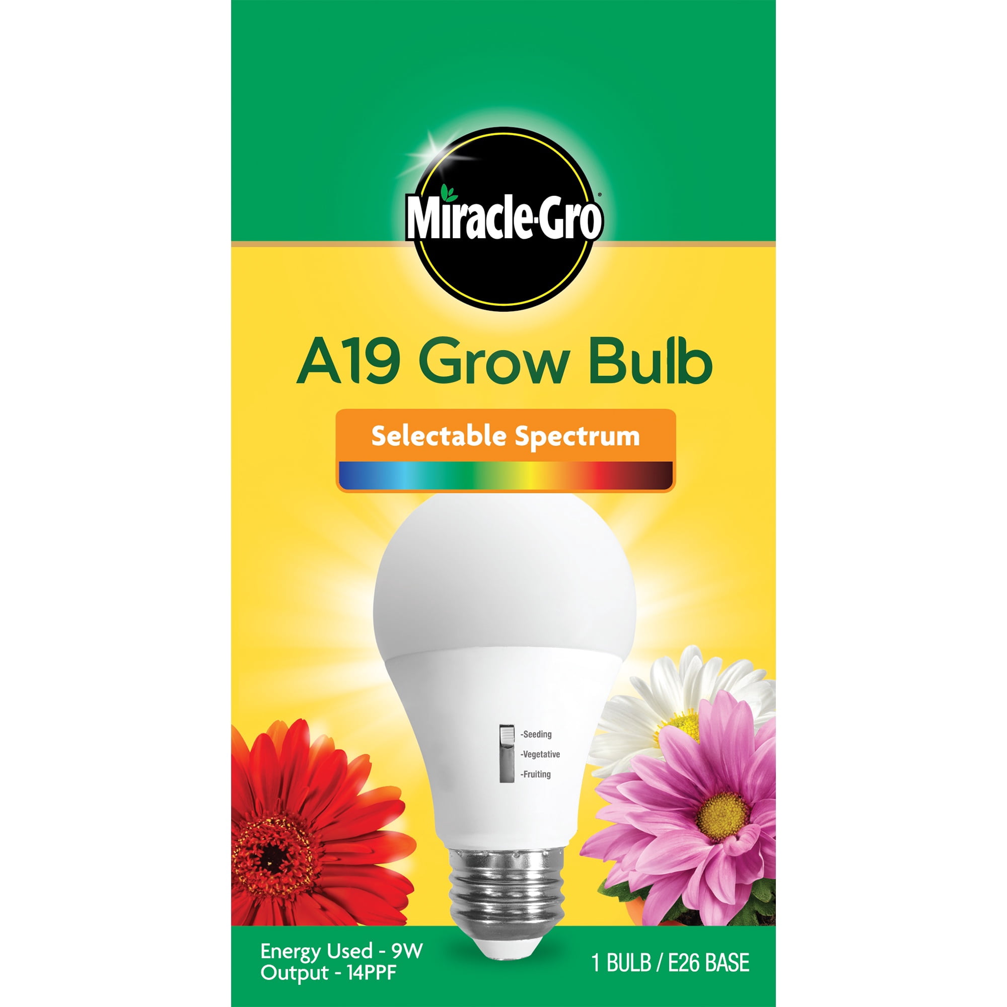 MG A19 GROW BLB