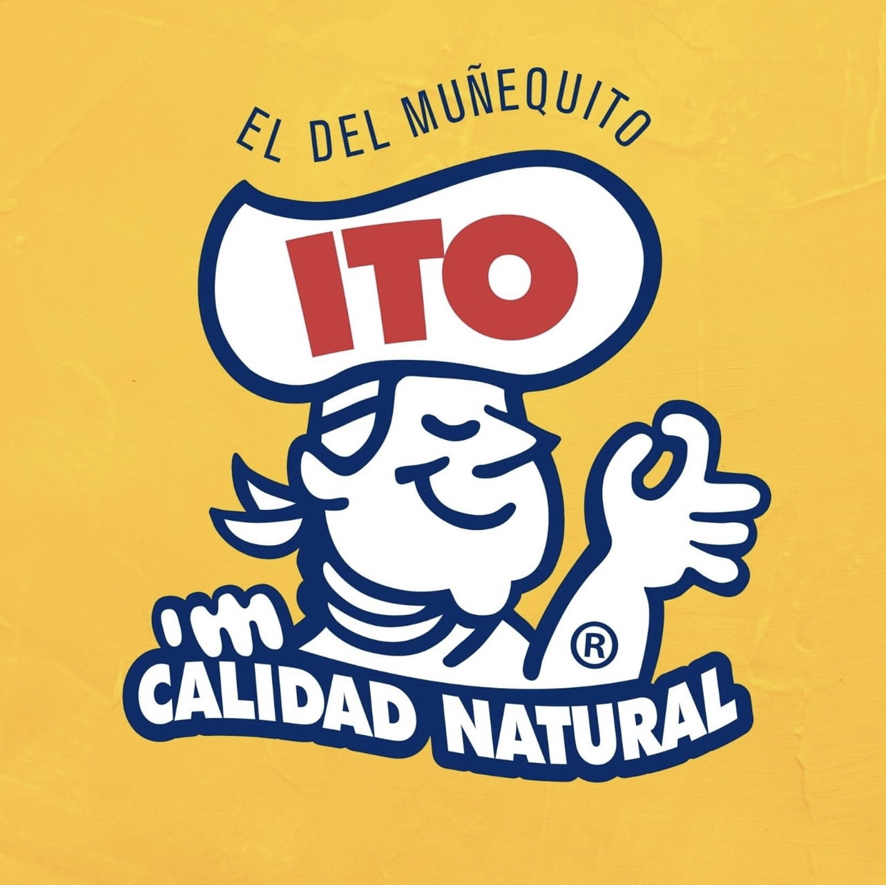 Ito El Munequito Adobo Garlic Paste Squeeze Bottle, 12oz Individual Pack 100% Natural