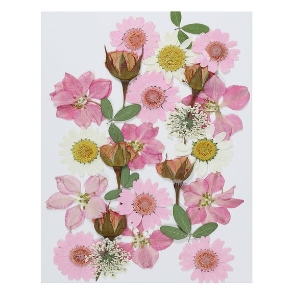 Uxcell Dried Pressed Flowers Natural Dried Flower Leave Assorted Real Pressed Flowers Pink Series