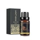thumbnail image 2 of MAYJAM-aceites esenciales naturales puros para humidificador, Perfume negro, aceite de aroma de Perfume, para fabricación de velas, goma de mascar de mar Fivean unisex, 2 of 2