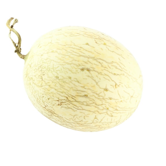 Melon Seeds - Branco Do Ribatejo - 1 Lb ~14,400 Seeds - Cucumis melo - Farm & Garden Vegetable / Fruit Seeds - Non-GMO, Heirloom, Open Pollinated, Annual