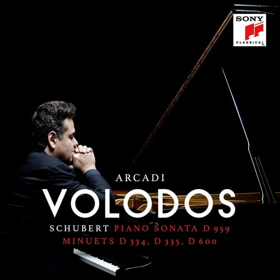 Schubert / Arcadi Volodos - Piano Sonata D 959 - Music & Performance - CD