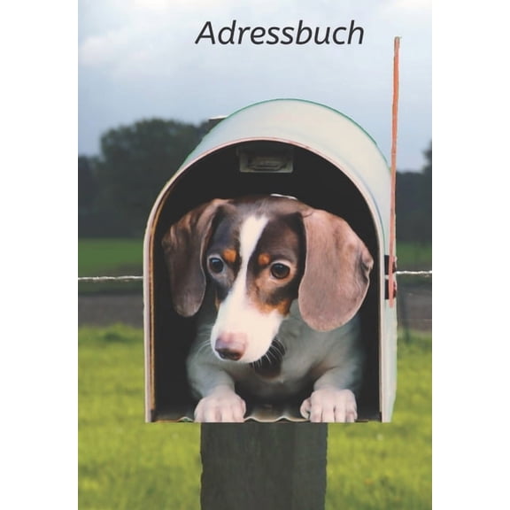 Dachshund: Adressbuch: Veranstalter zum Aufbewahren von Kontakten, Telefonnummern, E-Mails, Geburtstagen, Jahrestagen und Adressen sowie wichtiger Informationen mit Dackel in einem Postfach (Paperback