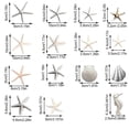 thumbnail image 3 of DVKOVI Mini Ocean Resin Animals Starfish Seashell Tiny Sea Models for Miniatures DIY Fish Tank Micro Landscaping One Size, 3 of 5