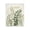 Tropical Botanicals Palm Leaves Herb, variant on Stupell Industries Delicate Herbs & Leaves Plants & Flowers Painting Wrapped Canvas Art Print Wall Art, 16 x 20
