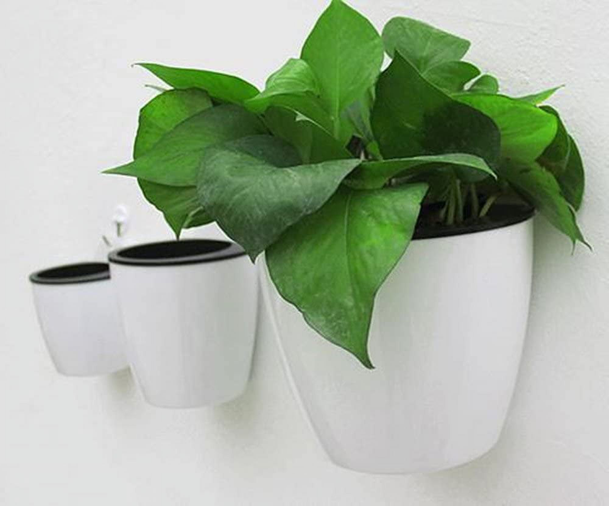 5 pack Lazy flower pots Water hanging plants Pot/Self Watering Planter,Succulent and small Plants Pots Indoor out Wall Hang Flowerpot Window Boxes With hooks Silver (white)