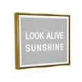 thumbnail image 3 of Stupell Industries Look Alive Sunshine Simple Grey Inspirational Painting Gold Floater Framed Art Print Wall Art, 3 of 6
