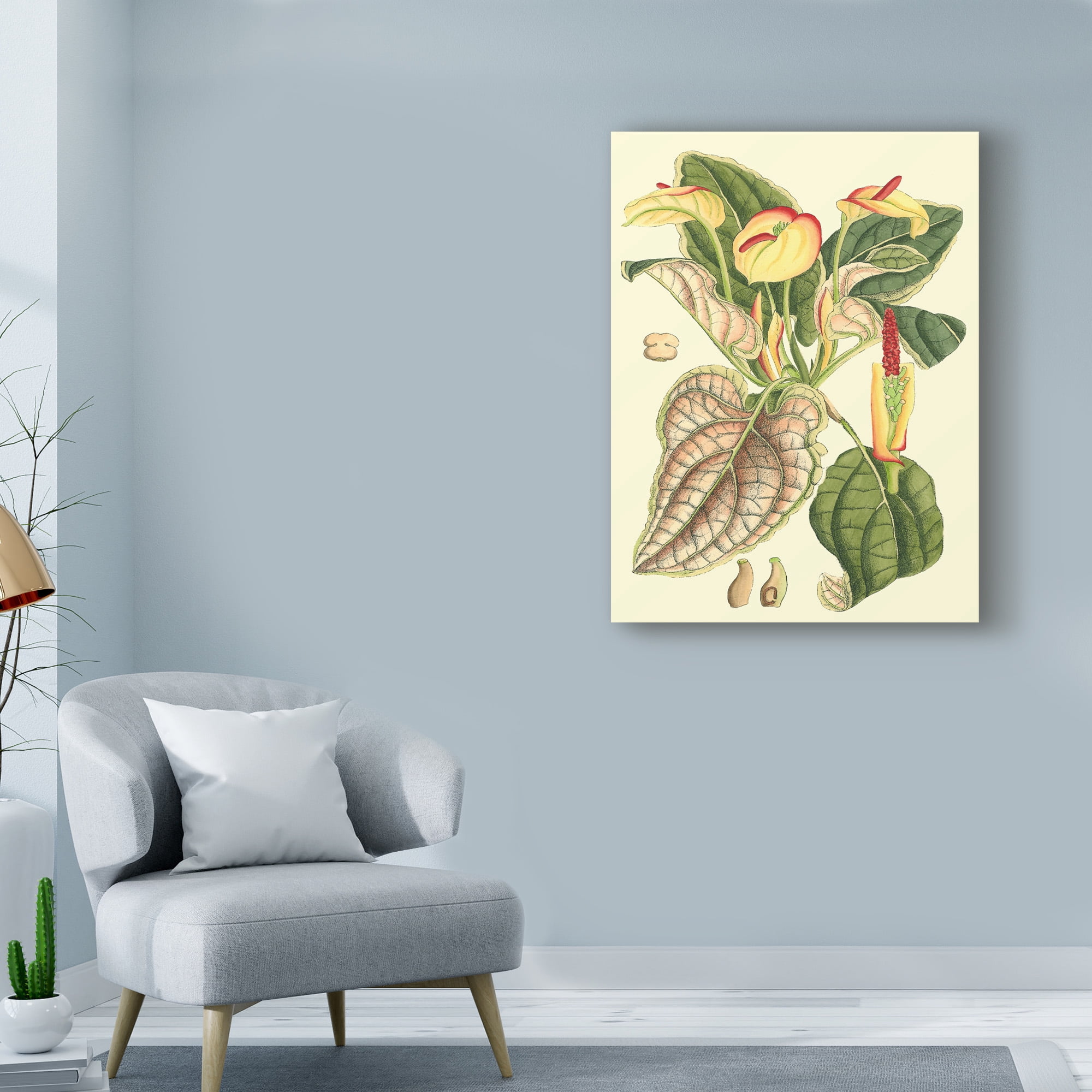Trademark Fine Art 'Botanical Fantasy III' Canvas Art by Unknown