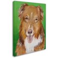 thumbnail image 2 of Trademark Fine Art "Dog on Green" Canvas Art by Pat Saunders-White, 2 of 3