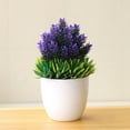 thumbnail image 4 of Naturegr Artificial Potted Plant ,Fake Bonsai,Table Simulation Decor for Home Office Hotel, 4 of 7