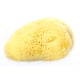 thumbnail image 1 of Esponja de Mar Fine Silk Lurko Fine Silk, 1 of 7