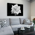thumbnail image 4 of Kurt Shaffer 'Gardenia in Black and White' Canvas Art, 4 of 4