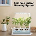 thumbnail image 2 of Yescom 3 Pots Hydroponic Growing System Plant Germination Kit with LED Light Indoor Herb Garden Home Kitchen, 2 of 11