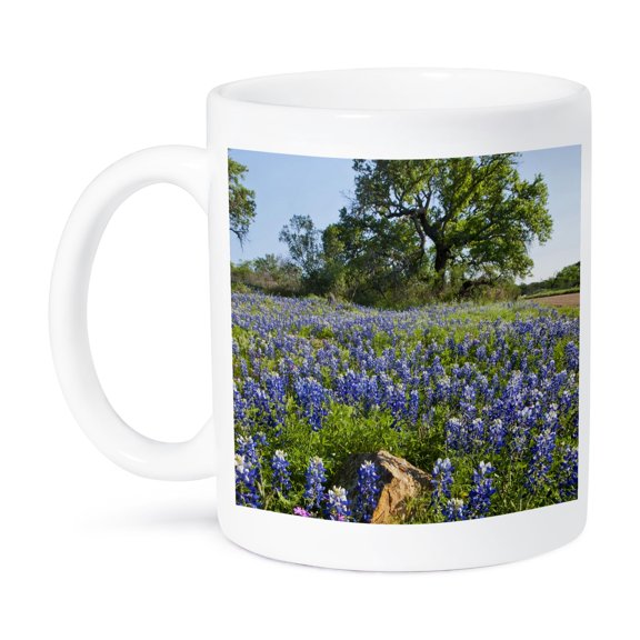 3dRose, Texas Bluebonnet flowers in bloom, central Texas, USA - US44 LDI0785 - Larry Ditto, 15oz Mug