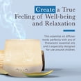 thumbnail image 2 of Pranarom - Essential Oil Diffuser - Stylish & Modern Home Essential Oil & Water Vapor Diffusing Device with Various Operating & Light Display Features (Lulu), 2 of 4