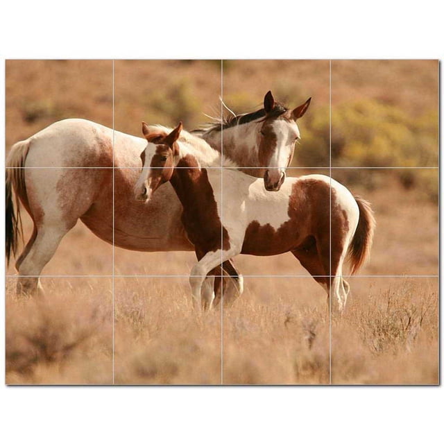 Horse Picture Ceramic Tile Mural Kitchen Backsplash Bathroom Shower 405308-L43