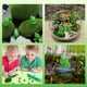 thumbnail image 4 of 100 Piezas Mini Rana Decoración de Jardín Figuras de Rana Verde Decoración del Hogar en Miniatura Pequeñas Ranas de Plástico Decoración de Jardín de Hadas, 4 of 5