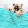 thumbnail image 3 of Pofeuu Turquoise Wooden Print Puppy Blanket,Dog Blankets,Pet Blanket Cozy Cat Blankets for Indoor Cats, Fuzzy Pet Blanket for Kitten Doggy Dog Blankets-Large, 3 of 8