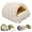 Beige, variant on Cozy Monster Cat Bed, 2026 New Winter Warm Cat Sleeping Bag, with Removable Cushion, Machine Washable Warm Kitty Beds for Indoor Cats & Small Dogs (Beige,M)