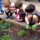 thumbnail image 3 of Kit de Jardinería de 3 Piezas Resistente, Juego de Herramientas de Jardinería para Niños, Herramientas Manuales de Jardinería para Jardín al Aire Libre con Mango, para Aflojar la Tierra, Des, 3 of 4