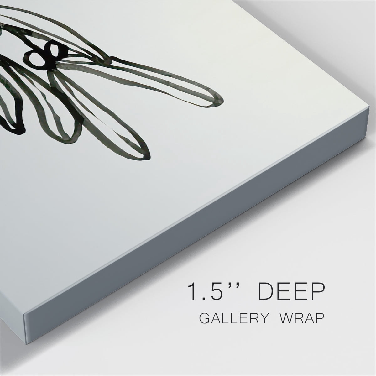 Mistletoe Sketch II- Gallery Wrapped Canvas