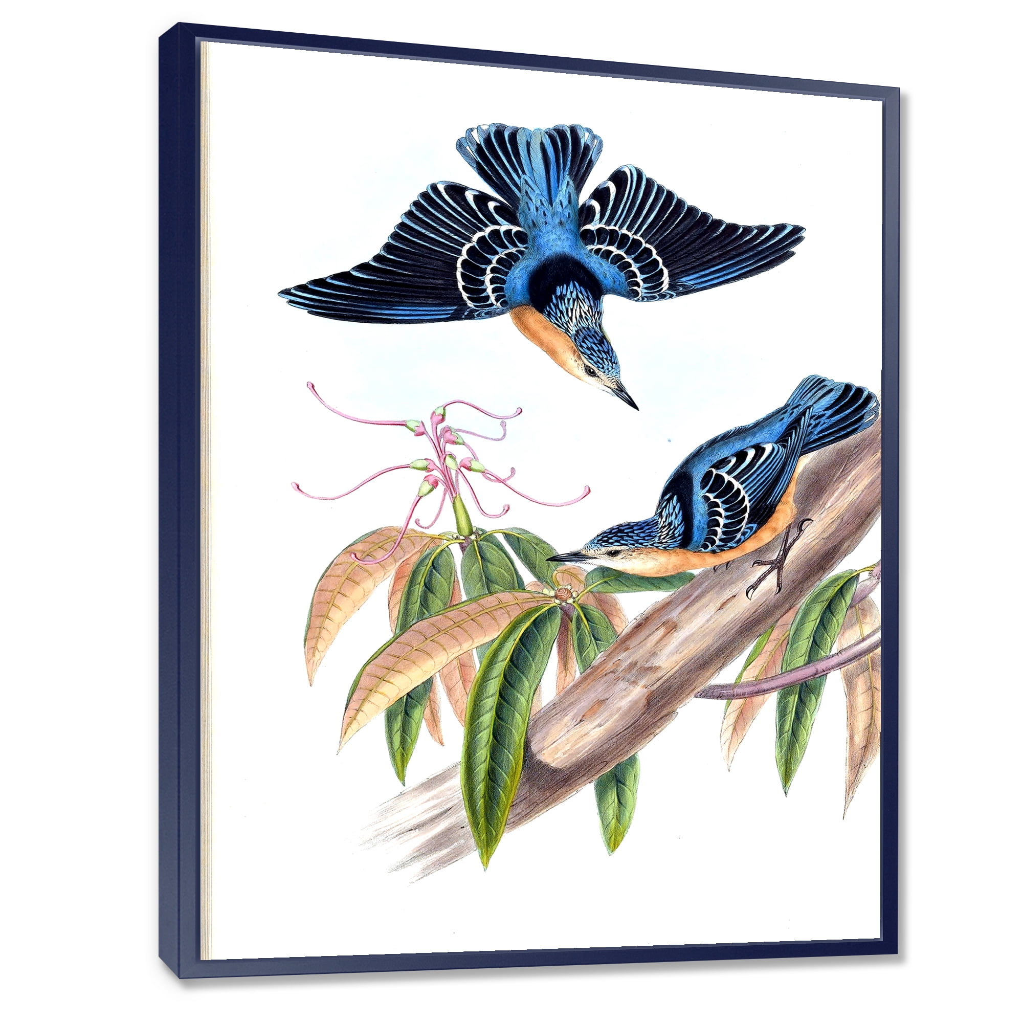 Vintage Countryside Birds On Branch V 16 in x 32 in Framed Painting Canvas Art Print, by Designart