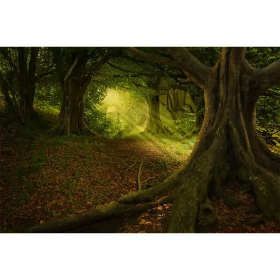 Spring Forest Photography Backdrop Natural Jungle Landscape Photocall Background Custom Party ration Photocall Props