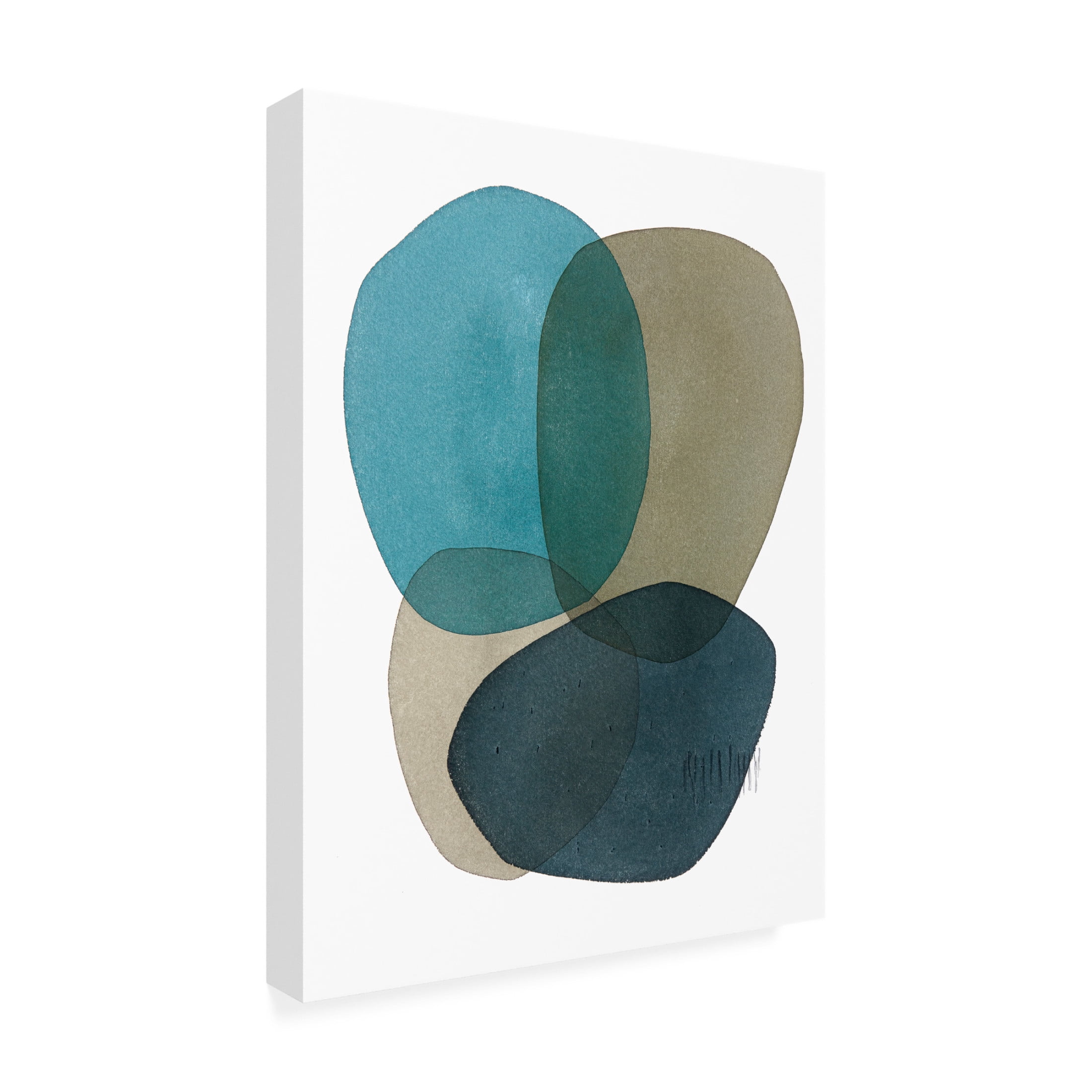 Canvas Wall Art - Simone Christen 'Amazonas II' Wall Art for Living Room, Bedroom, or Office Décor by Trademark Fine Art - 18 x 24 Inches