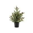 thumbnail image 2 of Melrose Potted Mini Pine Artificial Christmas Tree - 20" - Unlit - Set of 2, 2 of 3