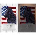 thumbnail image 2 of Carolines Treasures SS4052CNL USA American Flag with Briard Ceramic Night Light 6x4x3" multicolor, 2 of 2