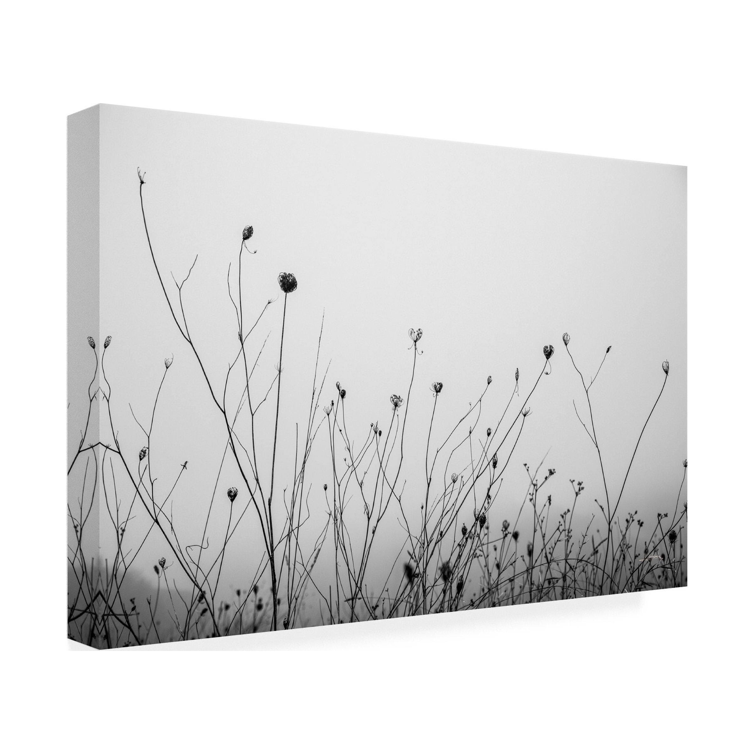 Aledanda 'Autumn Grasses' Canvas Art