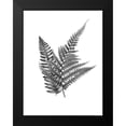 thumbnail image 2 of Prime, Marcus 12x14 Black Modern Framed Museum Art Print Titled - Fern Dueling 2, 2 of 5