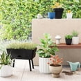 thumbnail image 2 of Square Indoor Outdoor Planter Pot 6"x6", 2 of 5